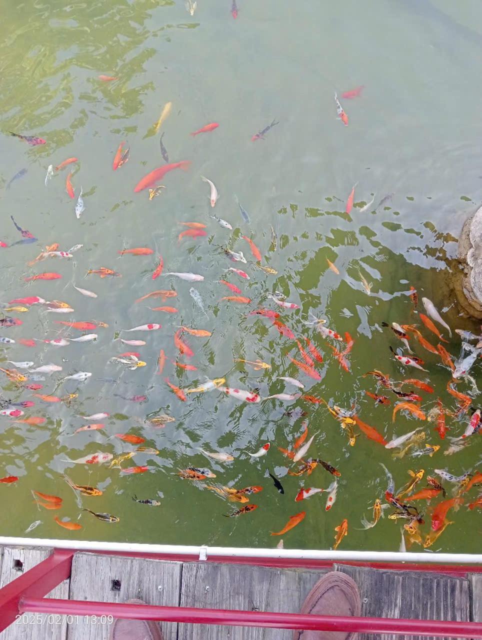 Yen Bai Homestay Suoi Khoang Minh Hang מראה חיצוני תמונה